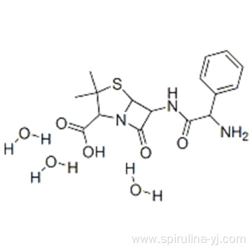Ampicillin CAS 7177-48-2